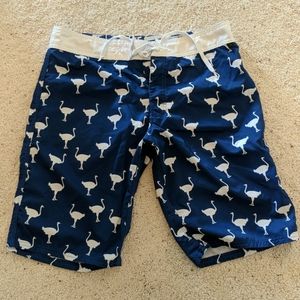 Chive Board Shorts Waist 33